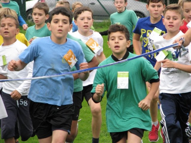 veldloop62.jpg