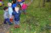 herfstwandeling12_small.jpg