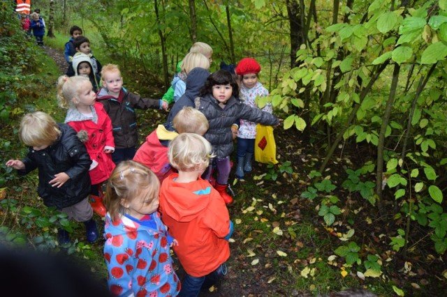 herfstwandeling32.jpg