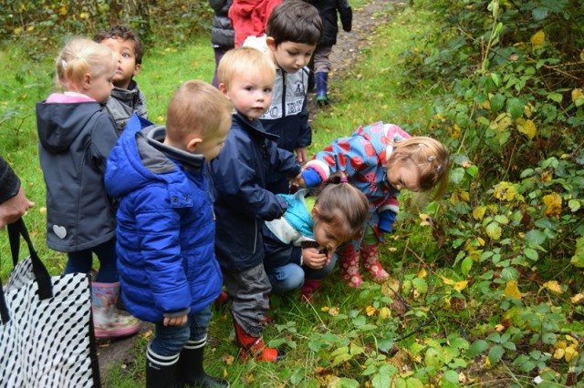 herfstwandeling35.jpg