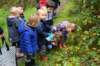 herfstwandeling35_small.jpg