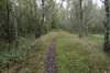 herfstwandeling49_small.jpg