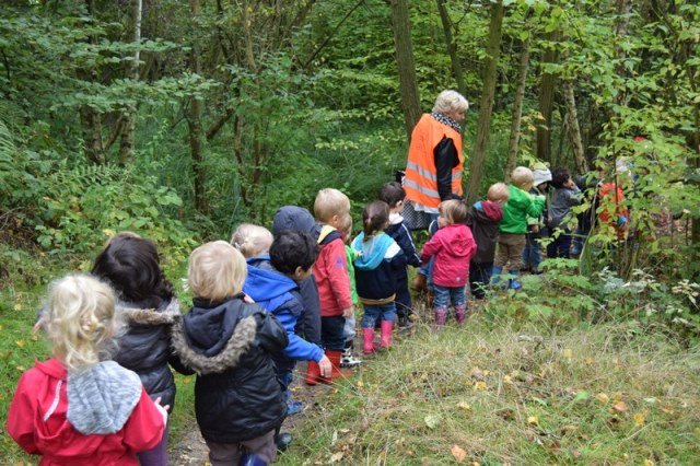 herfstwandeling50.jpg