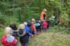 herfstwandeling50_small.jpg