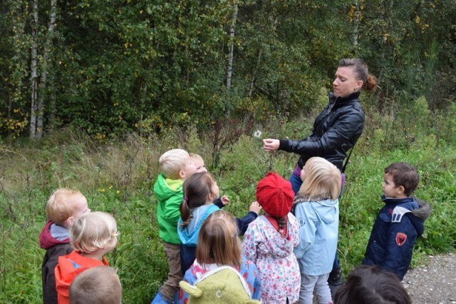 herfstwandeling60.jpg
