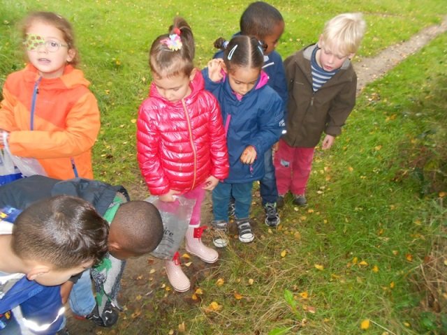 herfstwandeling64.jpg
