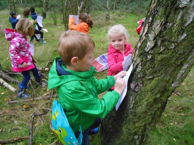 herfstwandeling66.jpg