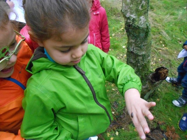 herfstwandeling72.jpg