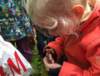 herfstwandeling77_small.jpg