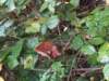 herfstwandeling81_small.jpg