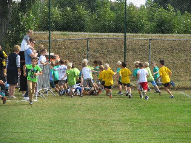 veldloop201617.jpg