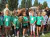 veldloop201621_small.jpg