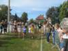 veldloop201625_small.jpg