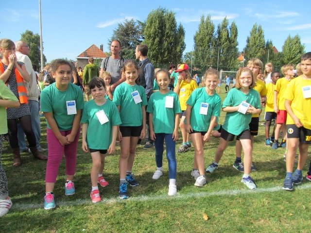veldloop201638.jpg